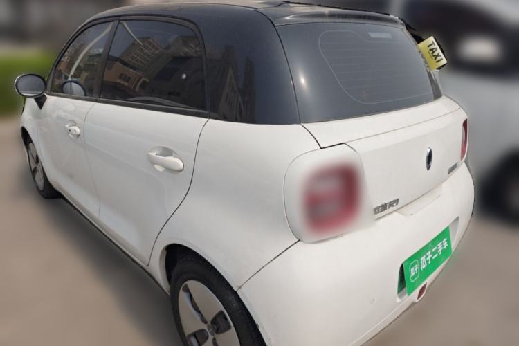 Used ORA Black Cat 2019 310 km Dynamic Edition