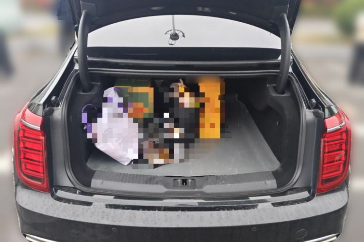 Used Hongqi H9 2020 2.0T Smart Connect Flagship Edition Trunk