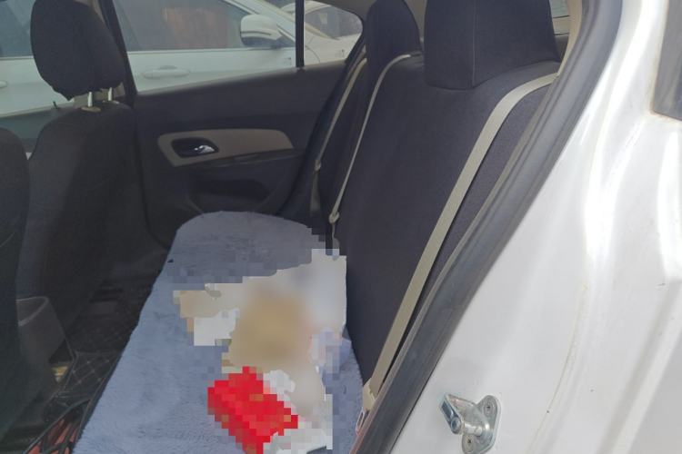 Used Chevrolet Cruze 2015 1.5L Classic SL MT
