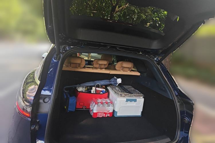 Used VOYAH FREE 2021 Four-Wheel Drive Standard Range-Extended Exclusive Luxury Package
