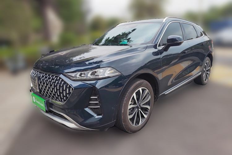 Used Wey Mocha 2021 2.0T Two-Wheel-Drive Ultra-Strong Version