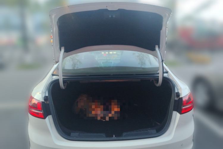 Used Ford Escort 2015 1.5L Automatic Fashion Model