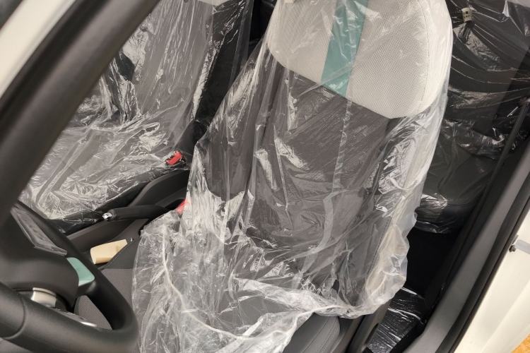 Used Qiyuan Lumin 2023 301km Honey Dew Edition
