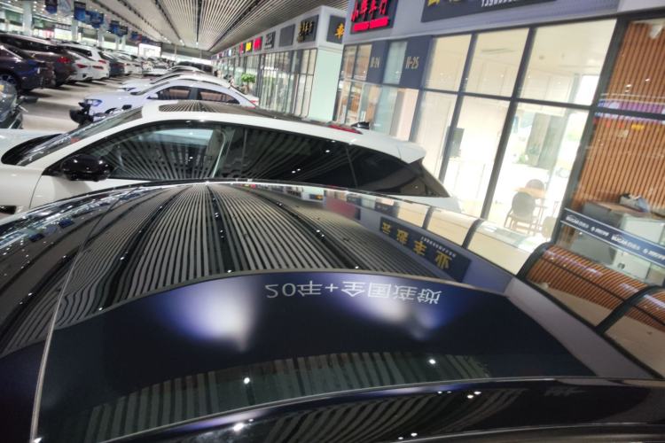 Used Tesla Model Y 2021 Standard Range Rear-Wheel Drive Version Roof