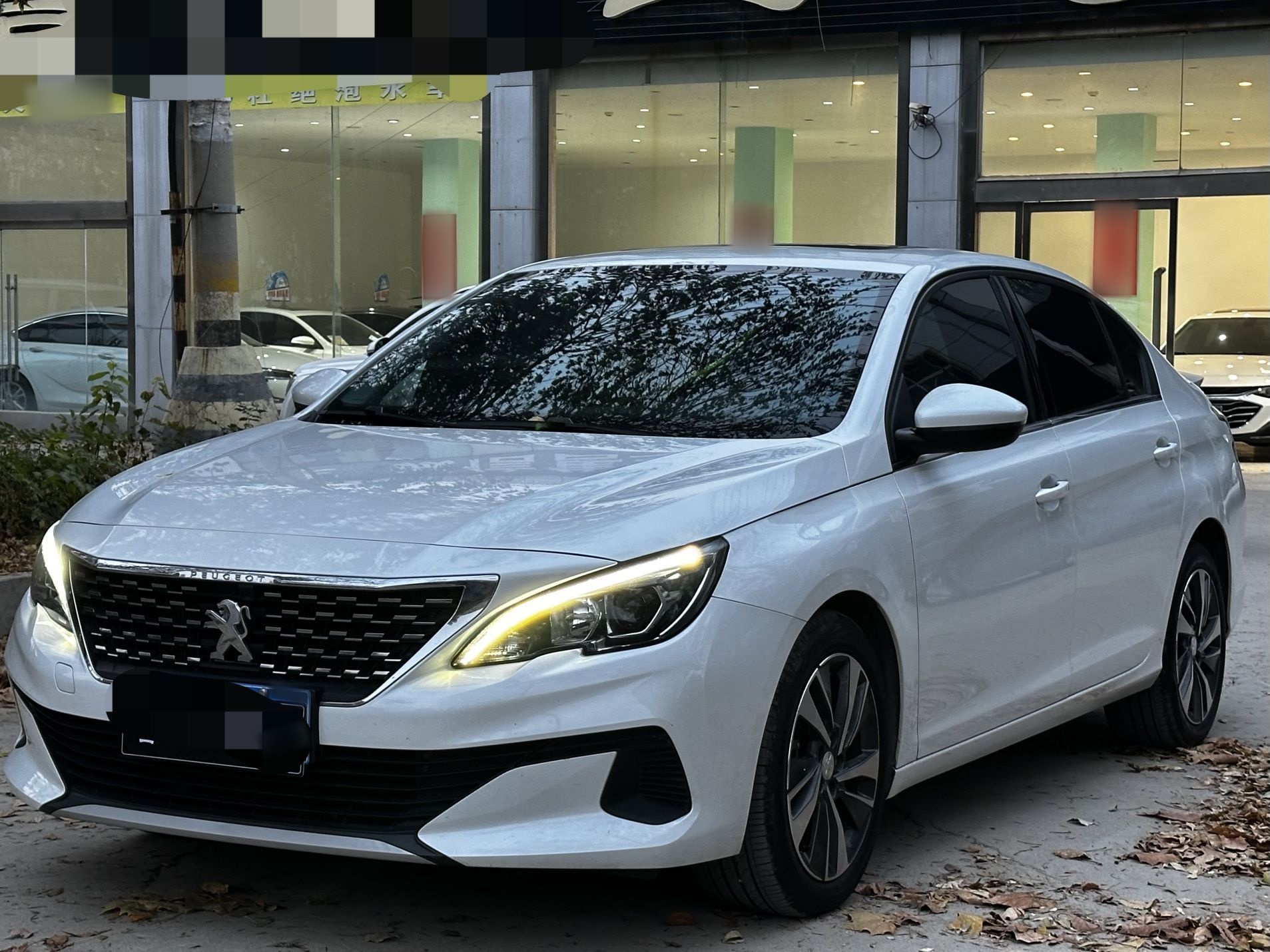 تحت مقدمة السيارة