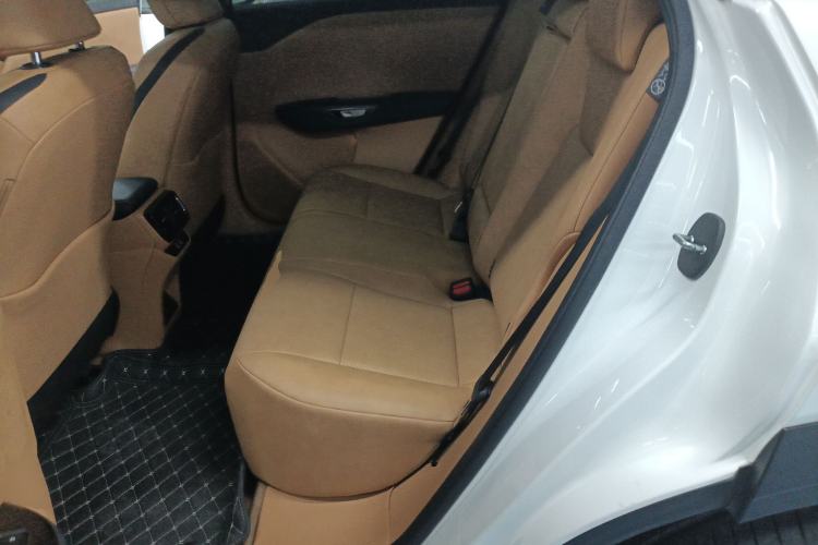 Used Lexus RZ 2023 450e All-Wheel Drive Luxury Edition Left Rear Seat