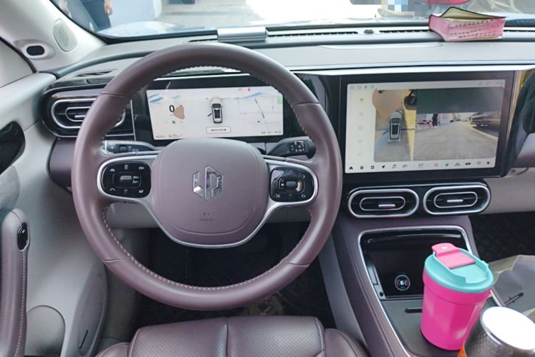 Used Leapmotor C11 2023 Pure Electric 500 Comfort Edition
