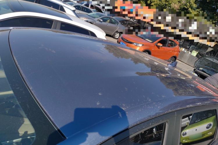 Used BYD Dolphin 2025 420km Free Edition