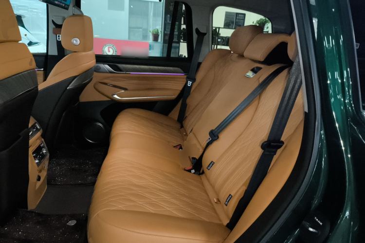 Used Tank 500 New Energy 2026 Model—Hi4-Z Smart Enjoyment Version Left Rear Seat