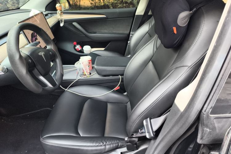 Used Tesla Model Y 2021 Standard Range Rear-Wheel Drive Version
