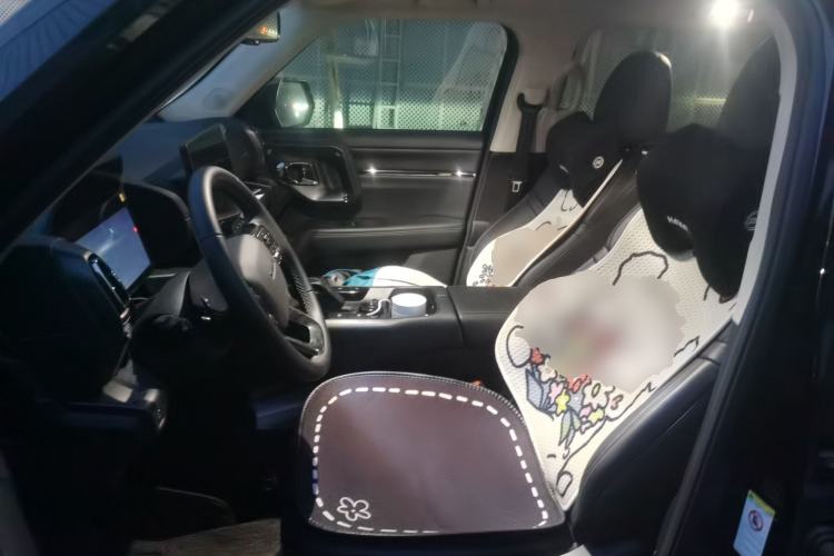 Used Haval H Dog 2023 1.5T Two-Wheel Drive Chao Ye Version Plus Left Front Seat