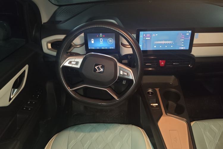 Used SOL E10X 2022 Flower Fairy Design Four-Leaf Clover