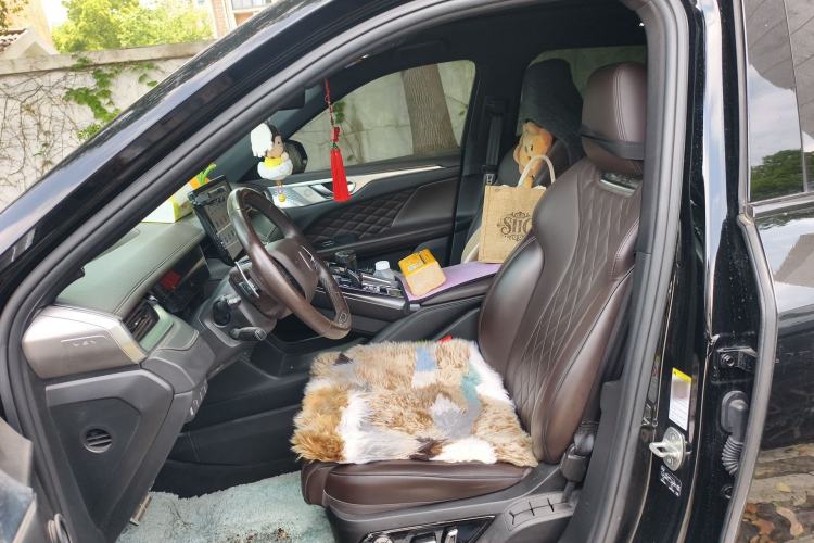 Used Wey Mocha 2021 2.0T Two-Wheel-Drive Premium Edition Left Front Seat