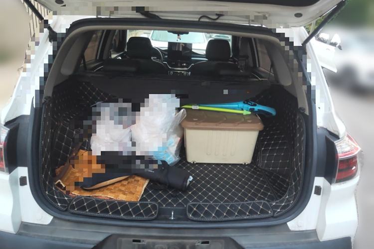 Used Kia Sportage R 2019 2.0L Automatic Smart Luxury Edition