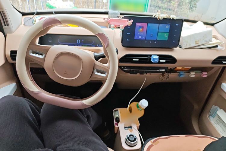 Used Geely Galaxy Panda 2023 Panda Mini 200km Endurance Bear Interior 2