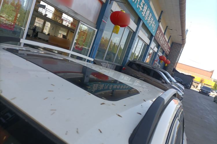 Used BAIC Senova X25 2015 1.5L Automatic Elite Model Roof