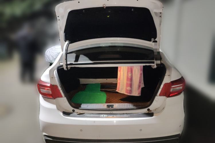 Used FORTHING S50 2021 Operational Type
