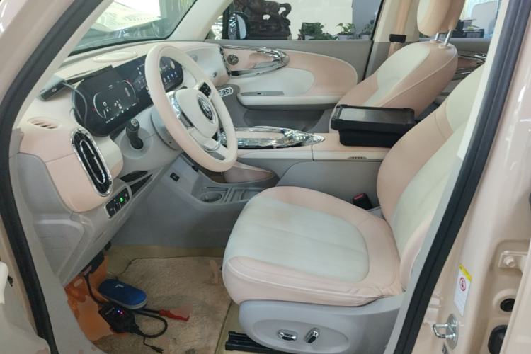 Used ORA Ballet Cat 2022 500 km Swan Lake Edition