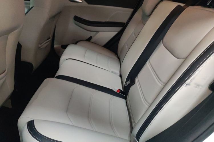 Used BYD Yuan Pro 2021 401 km Luxury Version Left Rear Seat