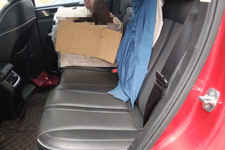 Used Tank 300 2021 Off-Road Edition 2.0T Conqueror Left Rear Seat