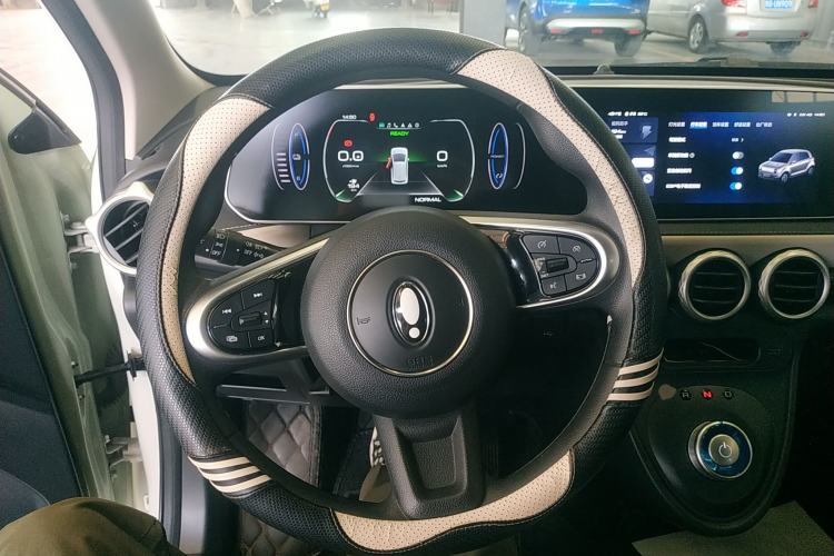 Used ORA Black Cat 2022 351 km Range Comfort Version Ternary Lithium