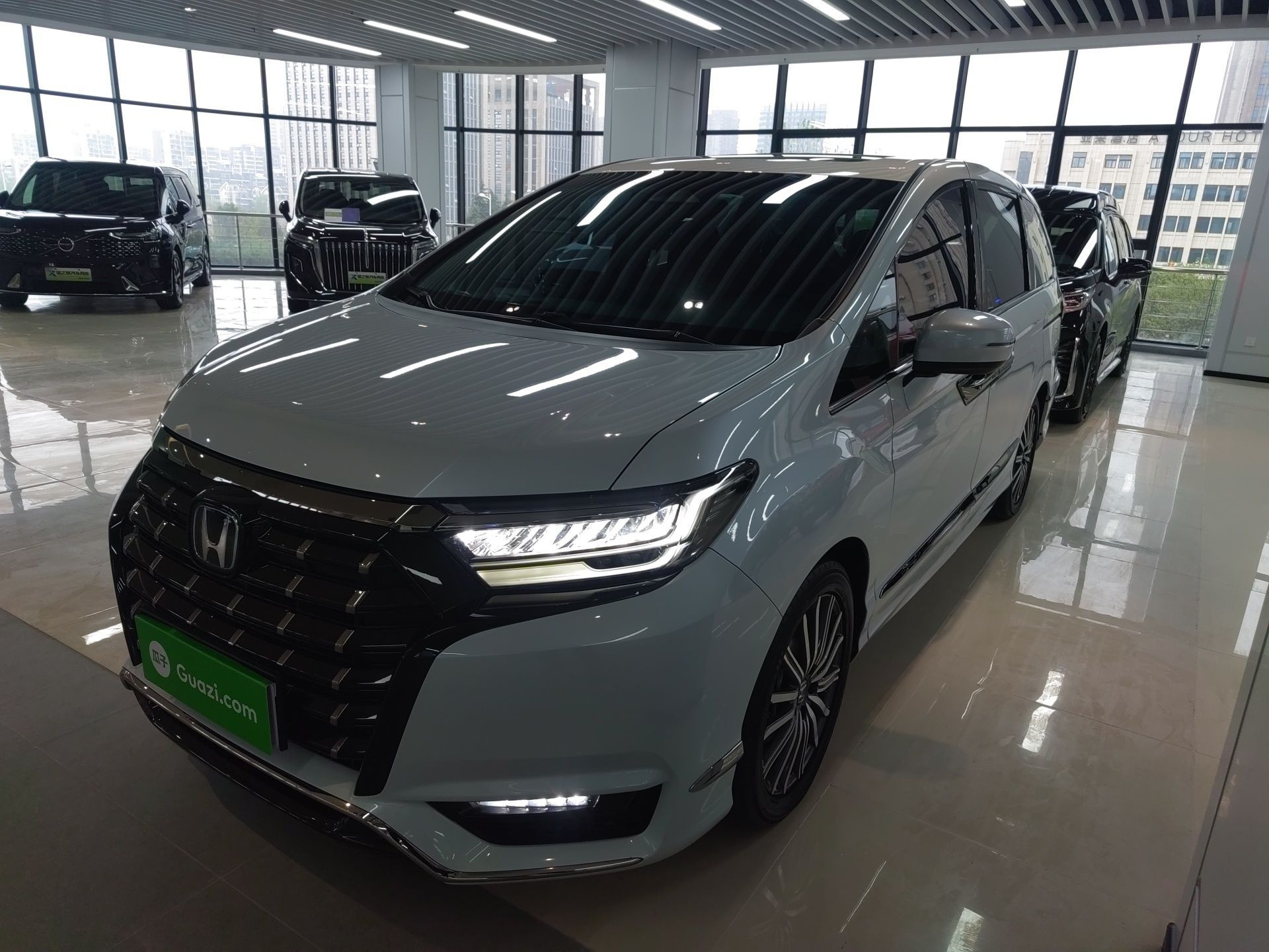 Parte inferior delantera