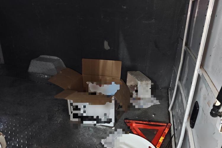 Used Foton Intelligent Blue Elf E7 2022 Standard Model 38.64 kWh