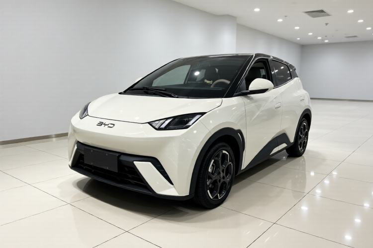 Used BYD Seagull 2025 305 km Free Version Guazi used car, China used car export, Used car for sale, Used cars, Cheapest cars for sale