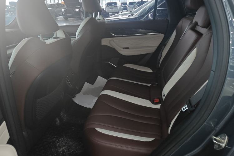 Used Geely Auto Monjaro L 2021 2.0TD DCT EVO Two-Wheel Drive Prestige Version
