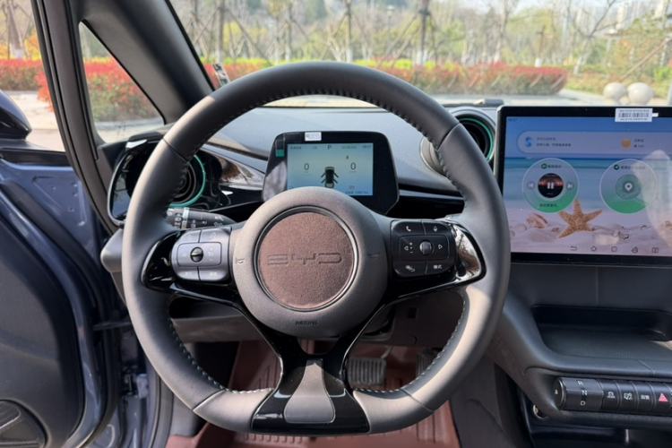 Used BYD Dolphin 2024 Honor Edition 420km Freedom Version Steering Wheel