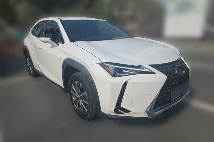 Used Lexus UX New Energy 2020 300e Pure·Enjoy Edition Exterior 1