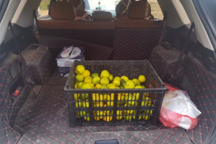 Used CHANGAN CS95 2017 2.0T Two-Wheel Drive Zhitu Edition