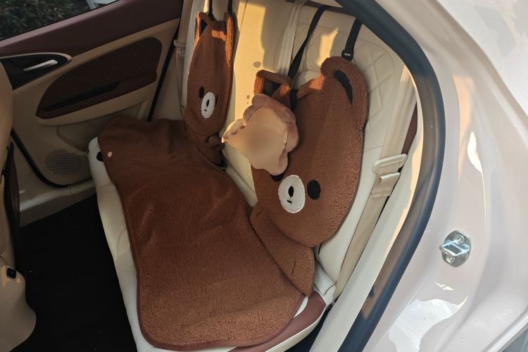 Used ORA Good Cat 2022 400km Standard Range Luxury Version Ternary Lithium