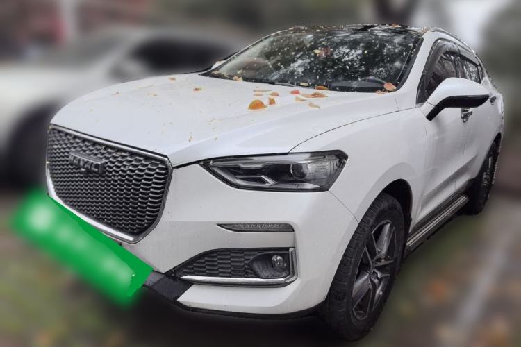 Used Haval F5 2019 National Trend Edition 1.5T i-Type China VI Standard