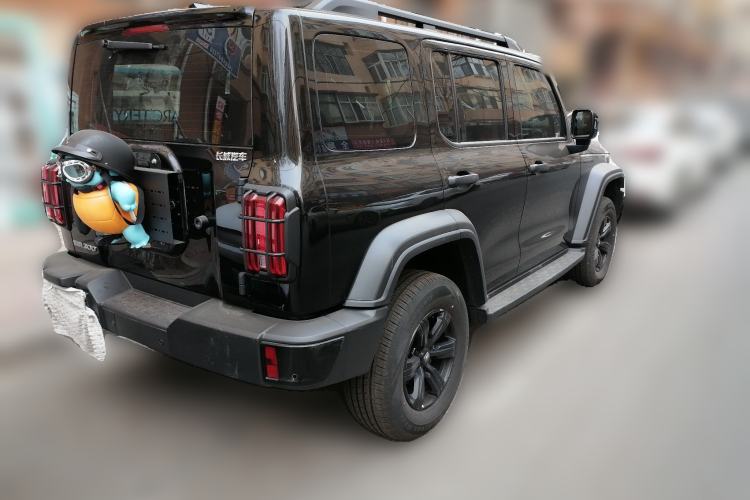 Used Tank 300 2024 2.0T Conqueror