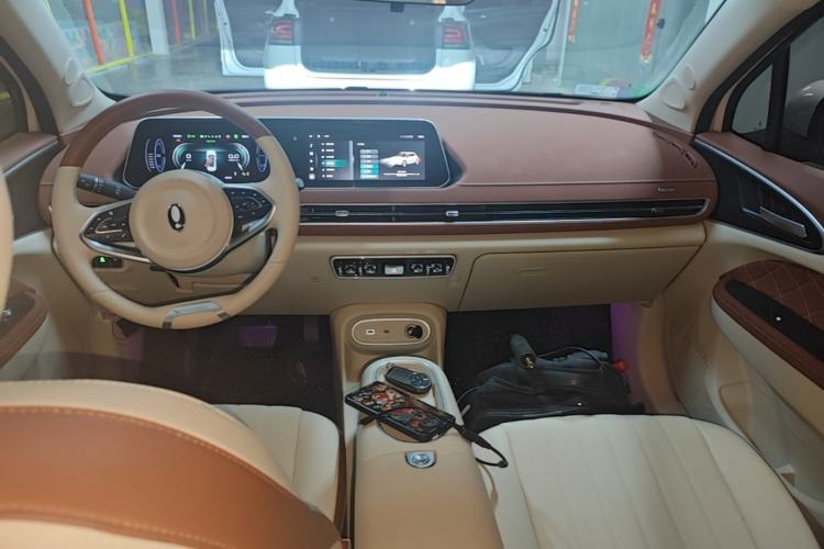 Used ORA Good Cat 2024 501 km Luxury Version
