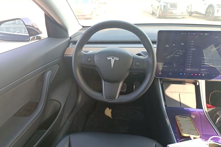 Used Tesla Model 3 2020 Standard Range Rear-Wheel Drive Upgraded Version