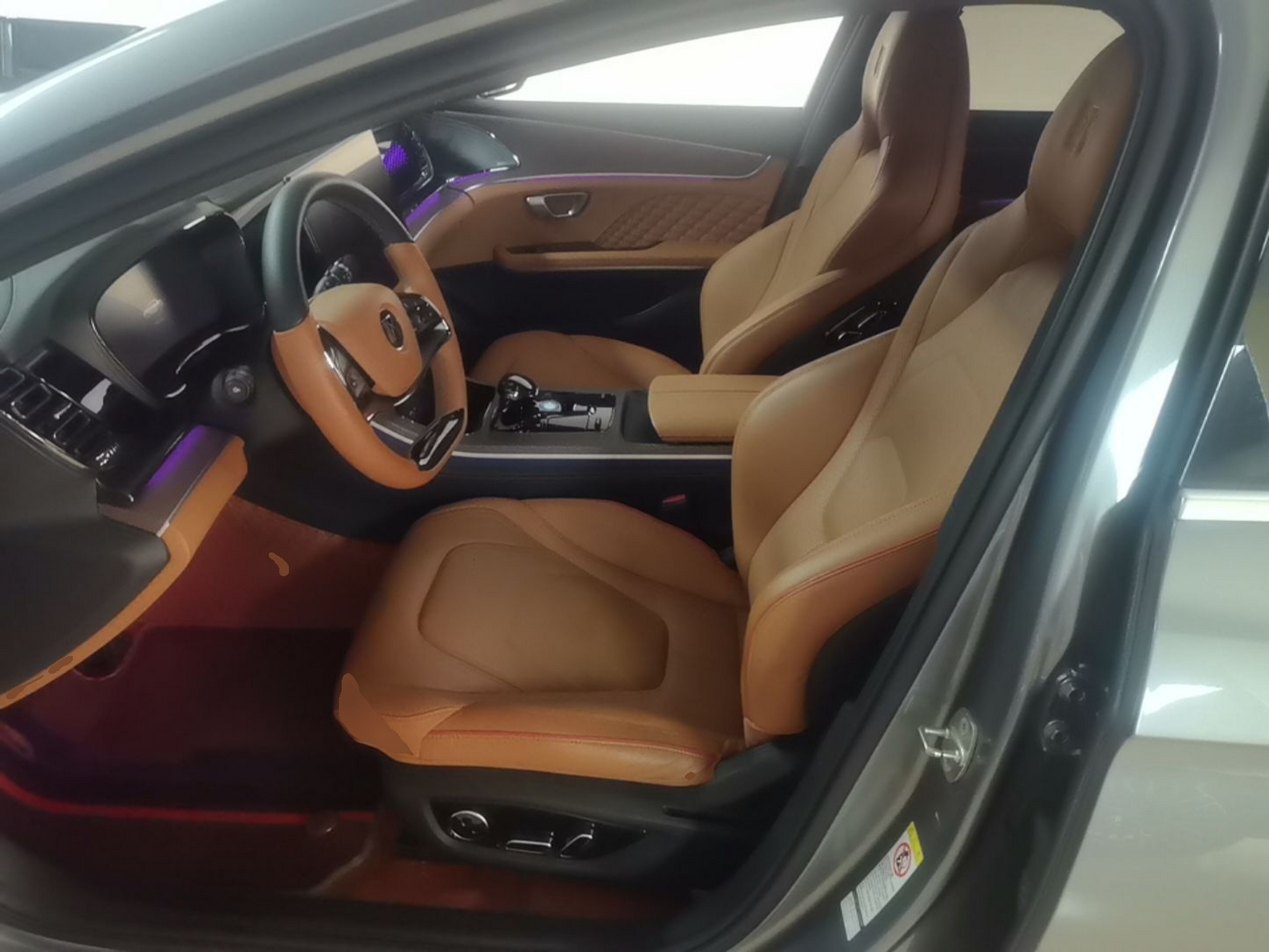Interior delantero