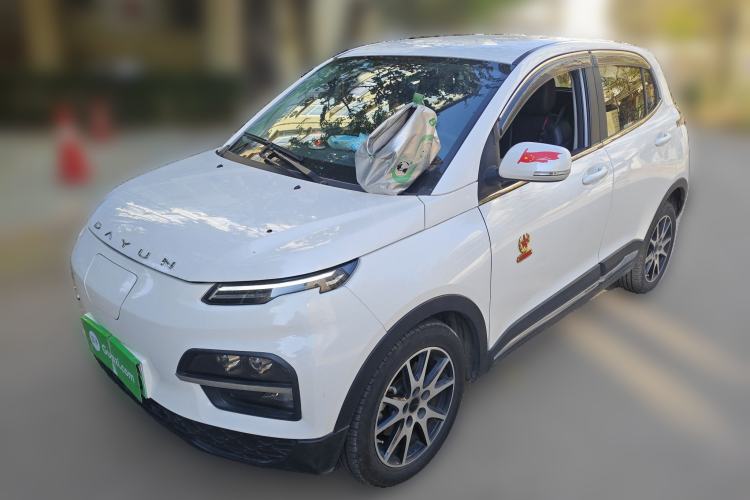 Used Dayun Yuehu 2021 32.85 kWh Two-Wheel-Drive Sprite Version