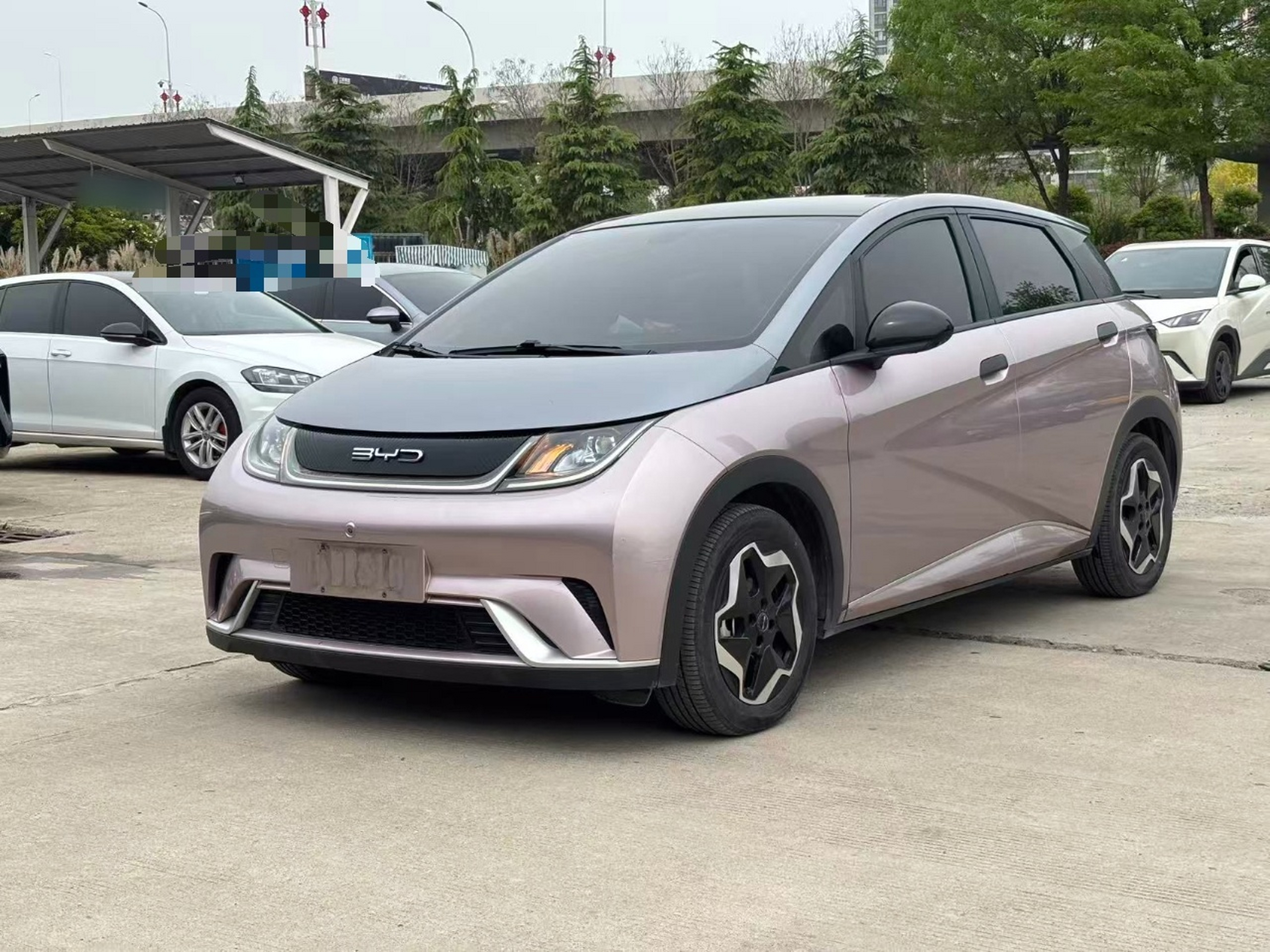 Parte inferior delantera