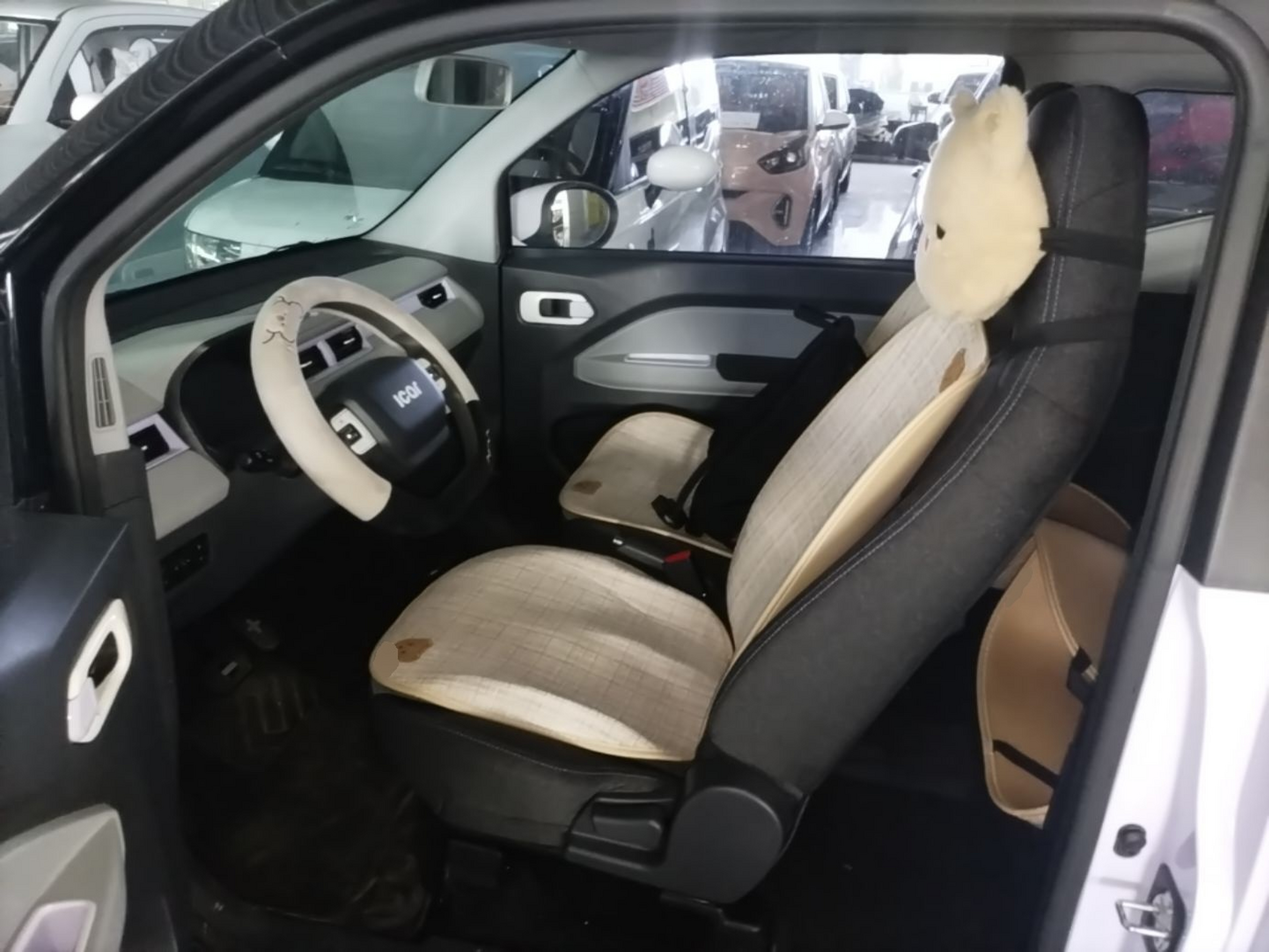 Interior delantero