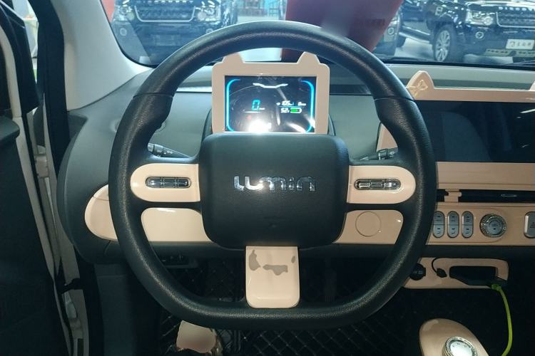 Used Qiyuan Lumin 2023 205km Xiangqin Version
