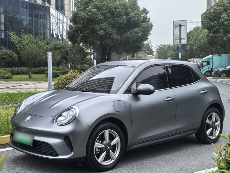 Used ORA Good Cat 2025 Model, 430 km Prestige Version — 30
