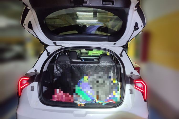 Used Geometry E Firefly 2022 401 km Linglong Tiger 4 Seats
