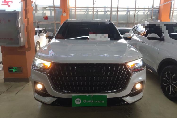 Used Haval H6 2023 National Trend Edition 1.5T Automatic Champion Version
