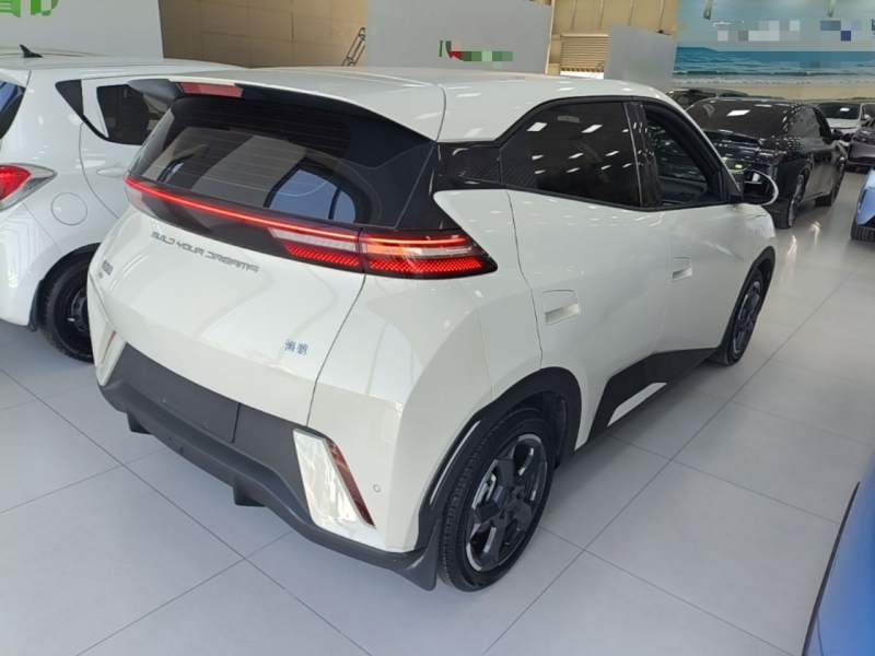 Used BYD Seagull 2024 Honor Edition 305km Freedom Version — 6
