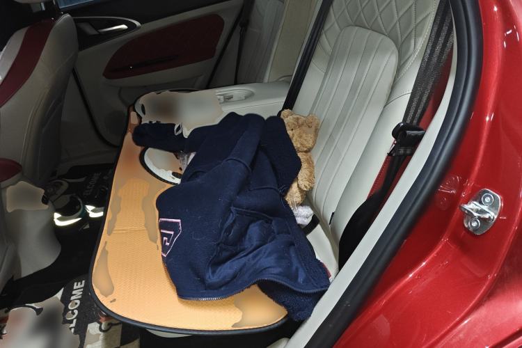 Used ORA Good Cat 2021 400km Standard Range Athena Edition Lithium-Ion Battery
