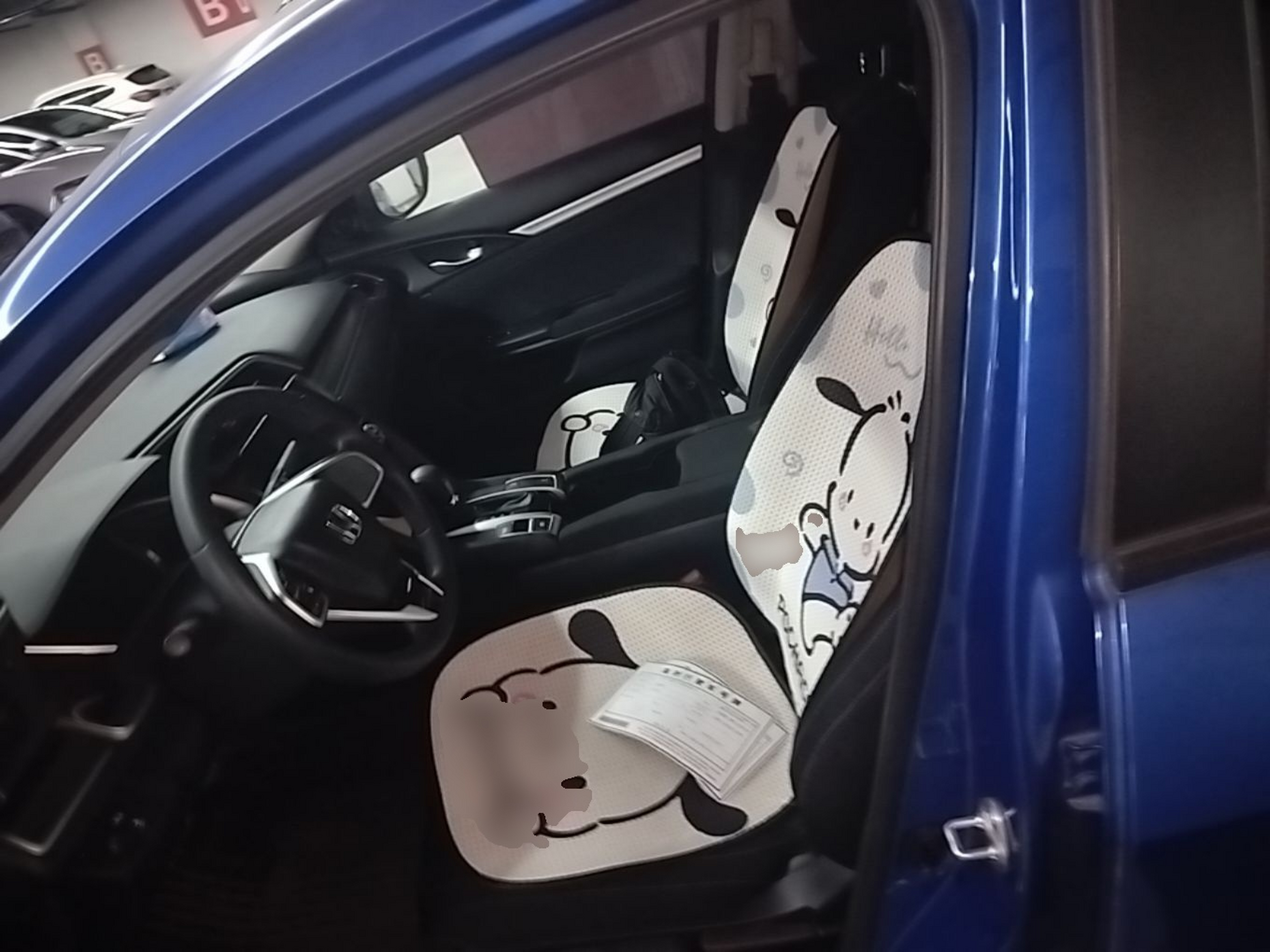 Interior delantero
