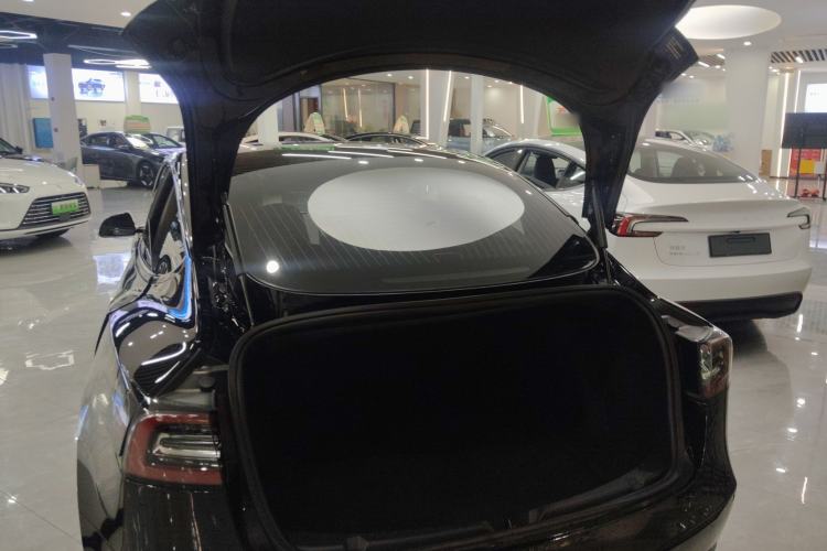 Used Tesla Model 3 2020 Standard Range Rear-Wheel Drive Upgraded Version Trunk