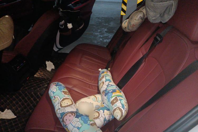 Used BMW 5 Series 2020 530Li Leading Model M Sport Package